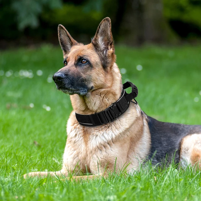 Nylon Durable Dog Collar Military Tactical Pet Training Collars Reflective Necklace With Handle Strong For Medium Large Dogs 5