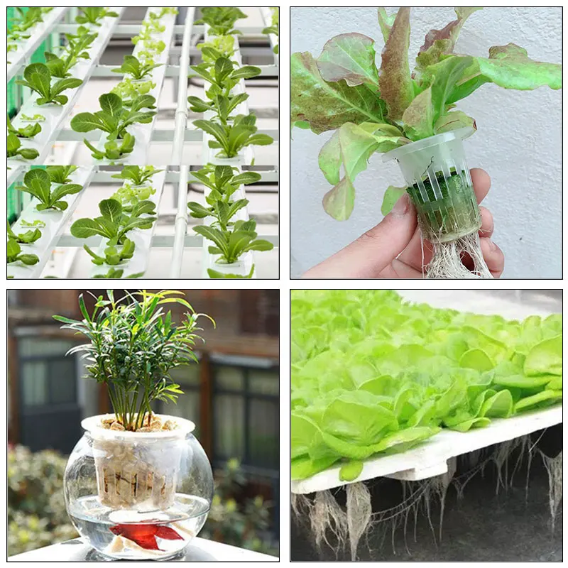 50Pcs Hydroponic Mesh Basket Cup Veg Soilless Grow Pot Plant Nursery Grow Net Pots Greenhouse Vertical Garden Vegetable Planter