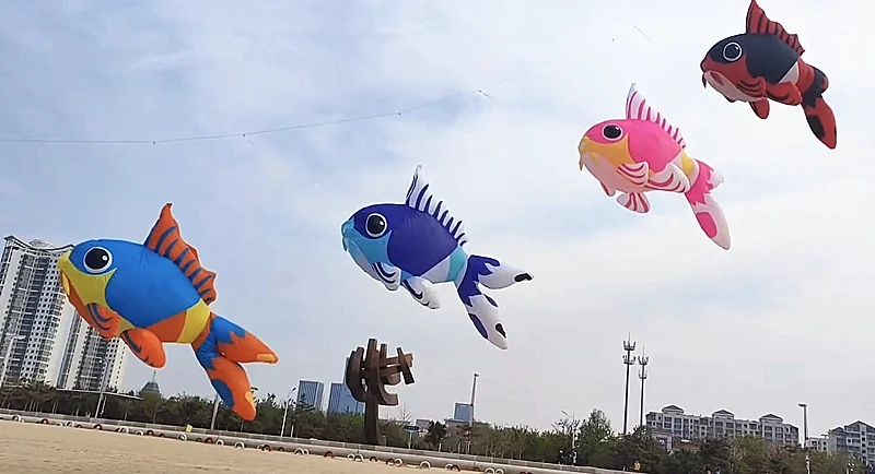 5 m großer Goldfischdrachen-Anhänger, aufblasbare Alien-Drachen, Fabrik, neuer Drachen, Fallschirmdrachen, weicher Drachen, Surfen, Drachen, Koi, Cerf Volant – Detail 2