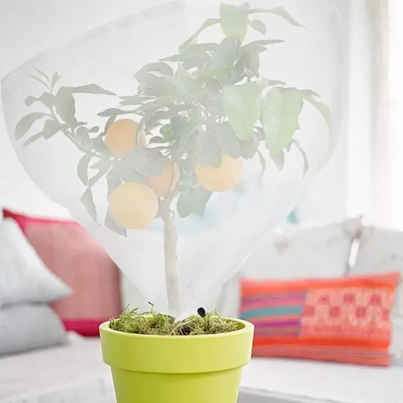 Slide image 12be77f564114845afc0ed61c89a9c7f