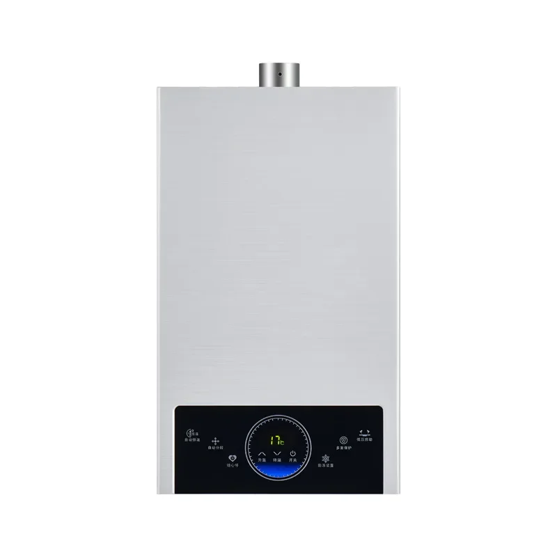 Storage Instant Tankless Strong Flue Exhaust Bathroom Shower Whole House Tankless Gas Shower Water Heater