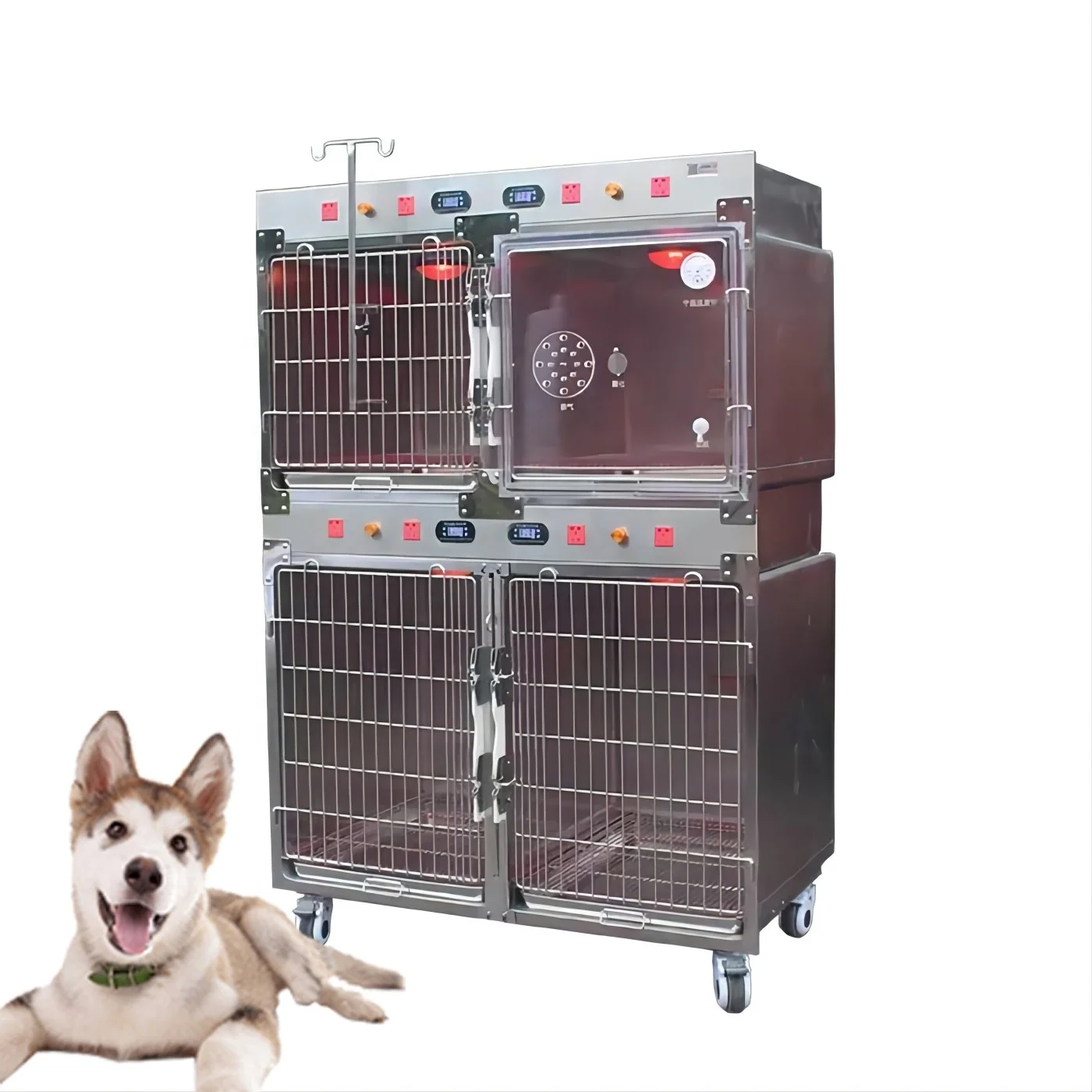 

Hospital stainless steel 304 infrared therapy pet dog cage dog incubator