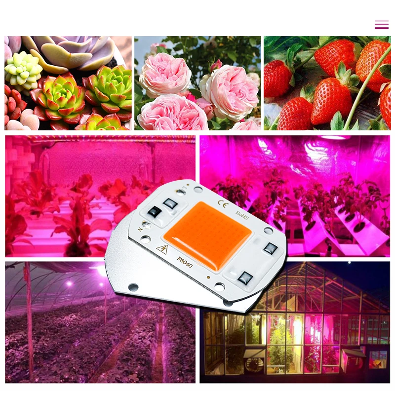 10Pcs/lot LED Grow Light Full Spectrum COB LED Chip AC 110V 220V No Need Driver Phyto Lamp For Indoor Plant Seedling Grow Lamps