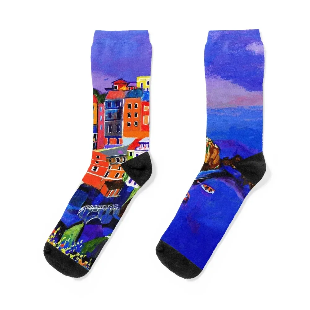 

Manarola Cinque Terre Socks Crossfit floral Rugby Socks For Girls Men's