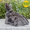 Bat Plush Toy High Fidelity Vampire Bat Plushie Fruit Bat Peluche Lifelike Stuffed Animals Simulation Doll Kawai Toy Gifts Kids 5