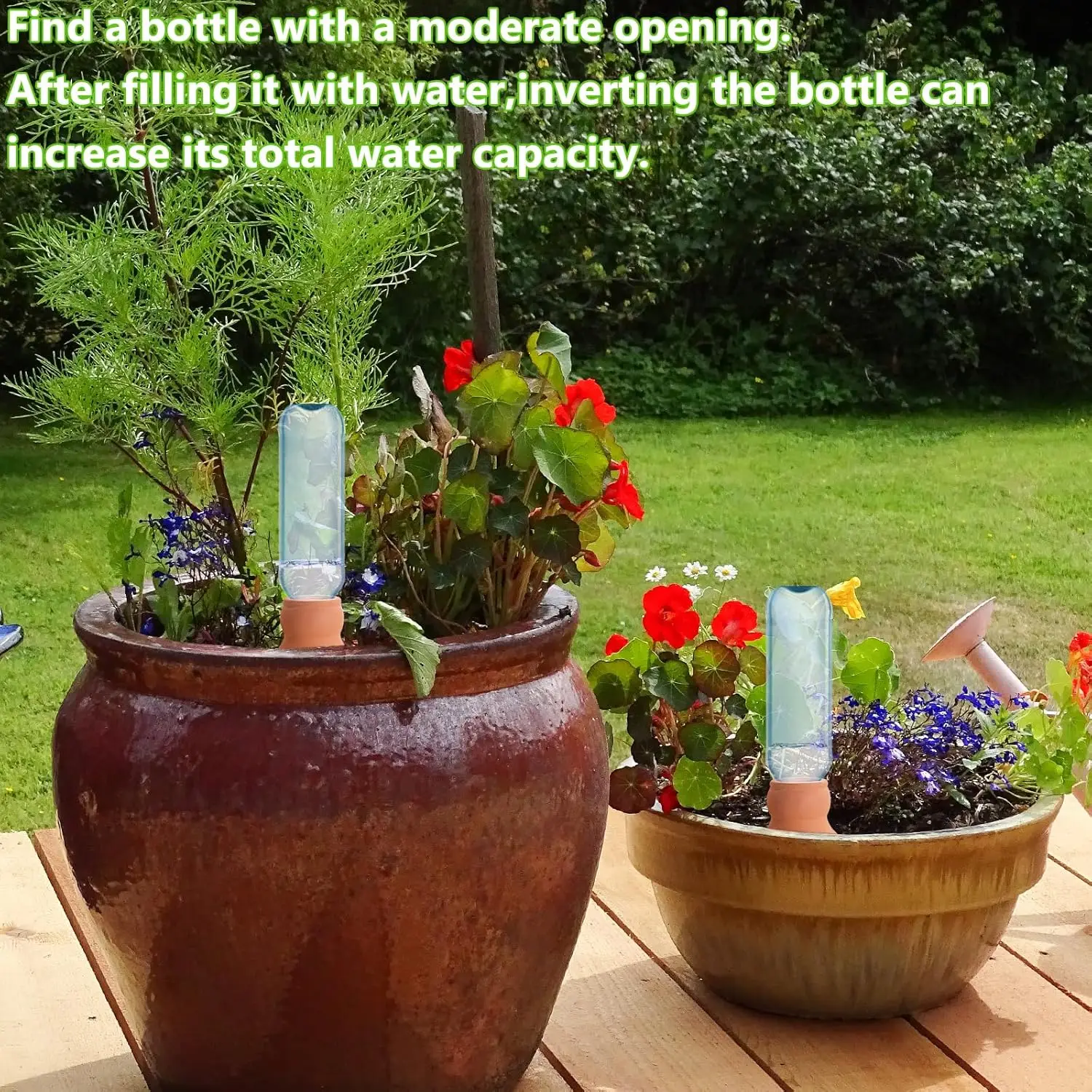 Eco-Friendly Terracotta Self-Watering Plant Spikes