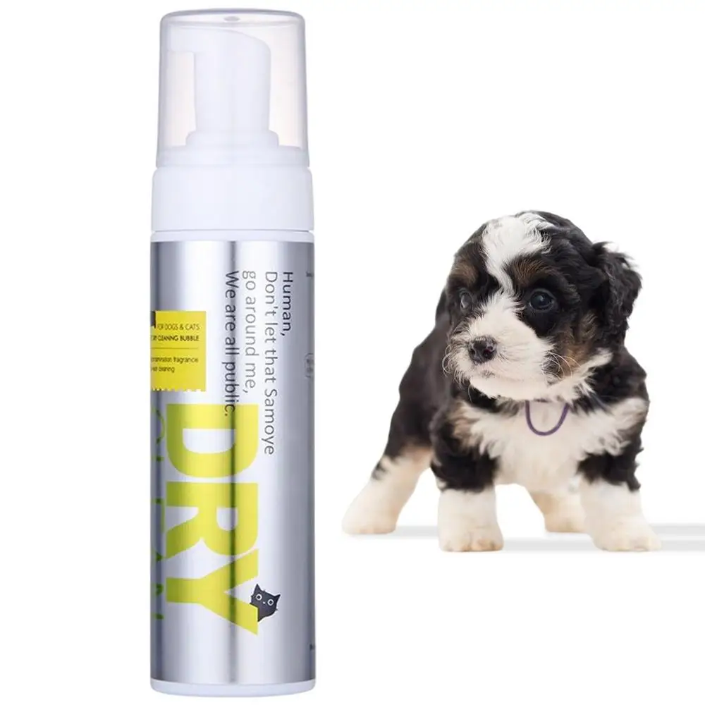 Can I Put Human Shampoo On My Dog at Emily Ashley blog