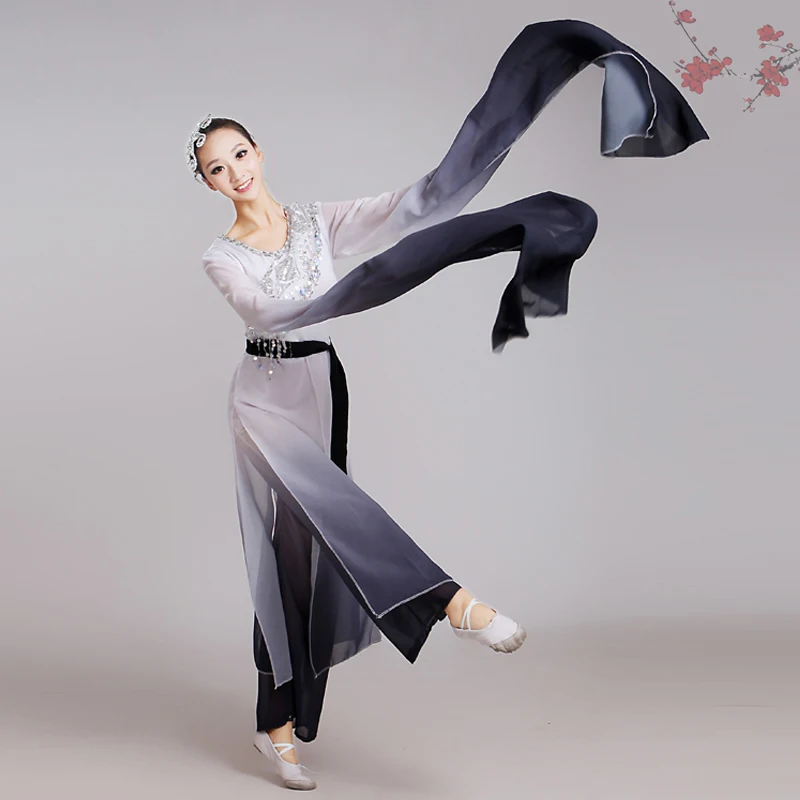 Chinese Folk Dance Classical Dance Costumes Women Water sleeve Performance Clothing Girls Long Sleeve Yangko Dance Costumes