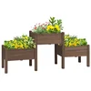 Wooden Planter、Flower shelf,Wood Planter Box-Coffee 4