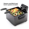 5Qt Dual Basket Pro Fry Immersion Element Black Deep Fryer 05489 Electric Deep Fryer .USA.NEW 5