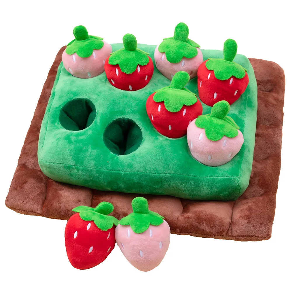 Strawberry field