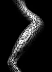 Elegant Monochrome Nude Art Canvas - Bedroom Wall Decor - 40x60cm No Frame (PURPLE)