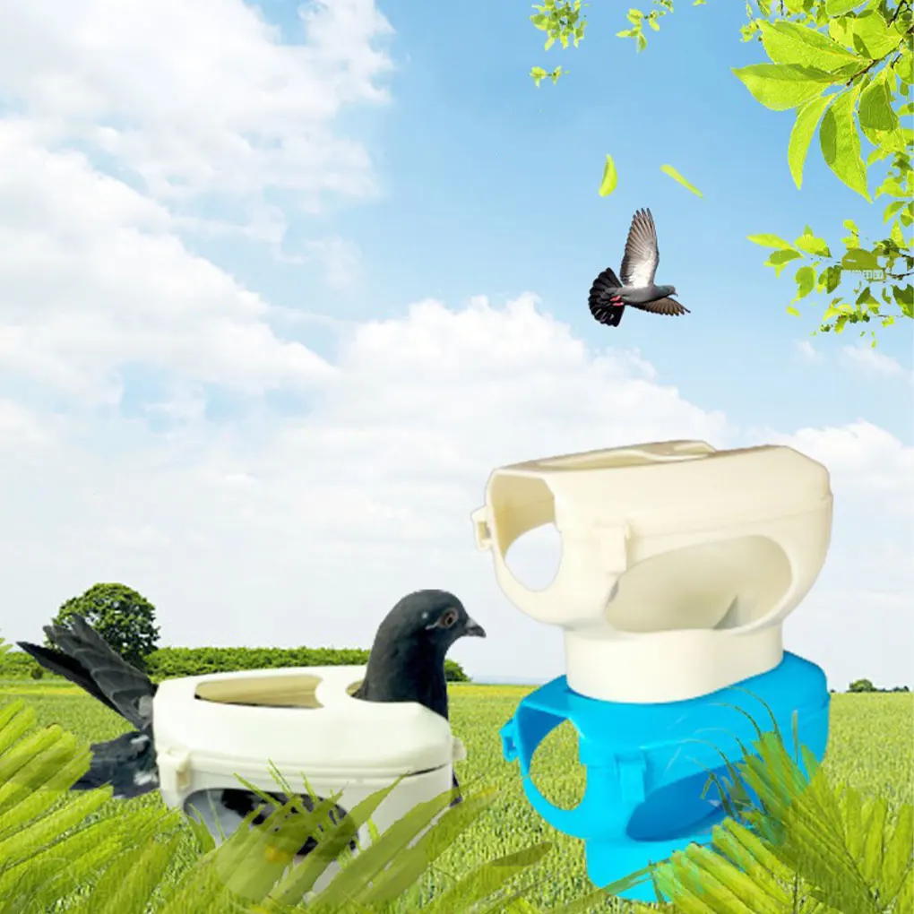 White Easy And Safe To Racing Fixed Pigeons Therapeutic Tool For Pigeons Fixers Wide Application