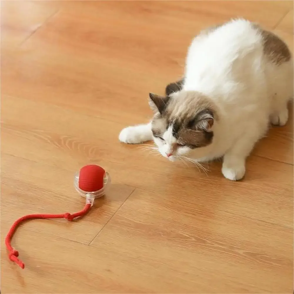 Pet  Dog Ball Toys USB Charging Electronic Interactive Automatic Rolling Balls for Dog Cats Puppy Kitten Simulated Tail Toys 5
