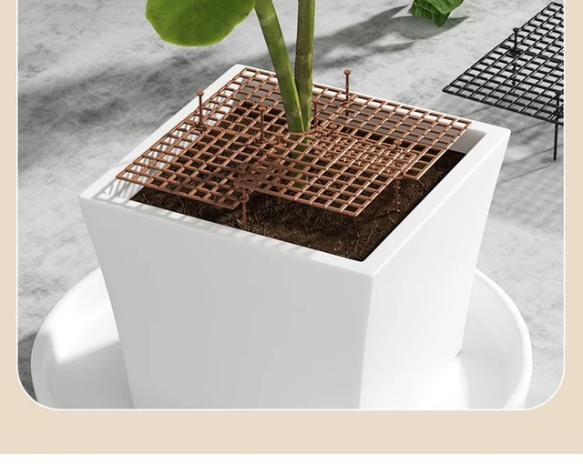 Grille de protection pour pot de plante de jardin, couvercle de pot de fleur,  accessoires de protection, protection du sol, 19 cm, 30 cm, 52cm -  AliExpress