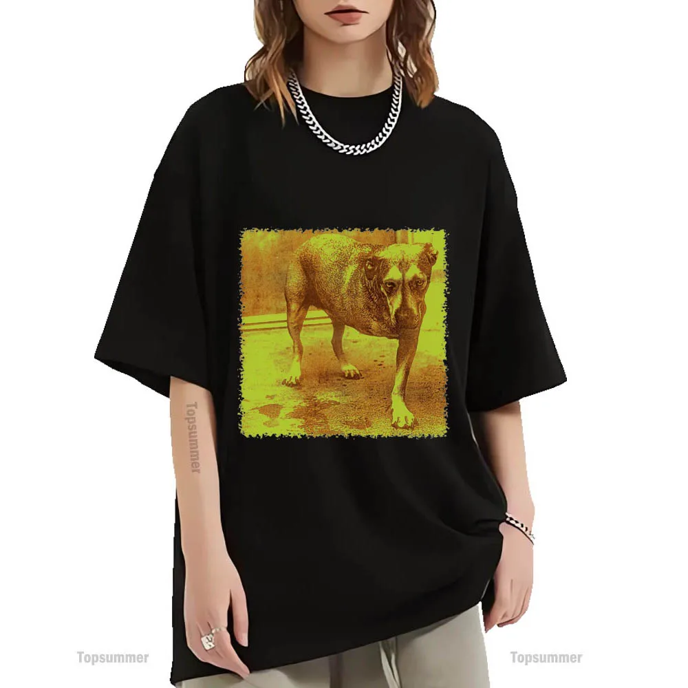 Alice In Chains Album T-Shirt Alice In Chains Tour T Shirt Coppie Vintage Streetwear Magliette A Maniche Corte Magliette In Cotone
