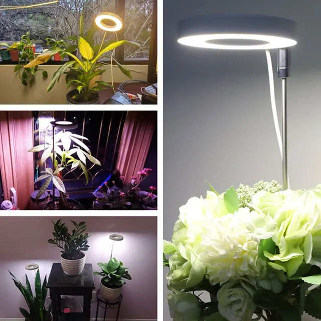 Kis Led -Es Növények Grow Könnyű, Kicsi Növénynövekedés Teljes Spektrum Usb Töltővel És Automatikus Időzítő Magasságával Állítható Növényi Halo