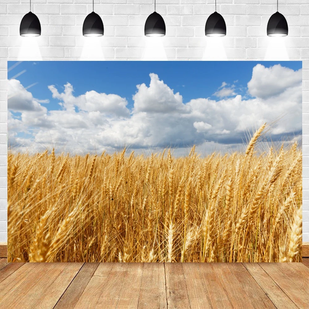 

Autumn Farm Wheat Field Backdrop Fall Golden Wheat Spikes Crop Haystack Child Baby Portrait Photography Background Photo Studio