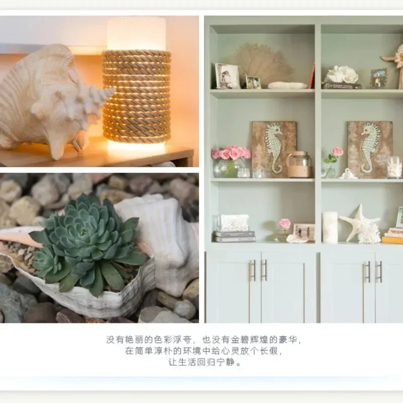 고엄비게 껍질, 7-8cm, 까치 터보 쉘 2-2.5, 장 고엄비게 집, 수족관 장식, 천연 조개