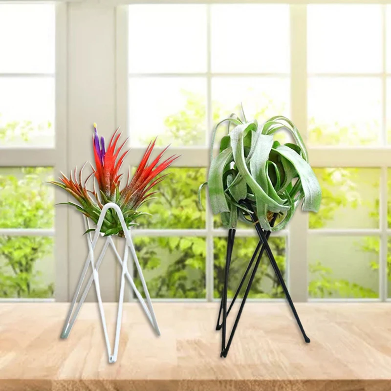 

Nordic Style Air Plant Holder Metal Flower Pot Stand Geometric Iron Tillandsia Holder Art Display Home Garden Ornaments