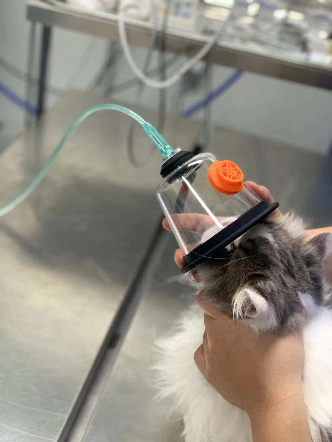 Veterinary Oxygen Masks Pet 5PCS/SET