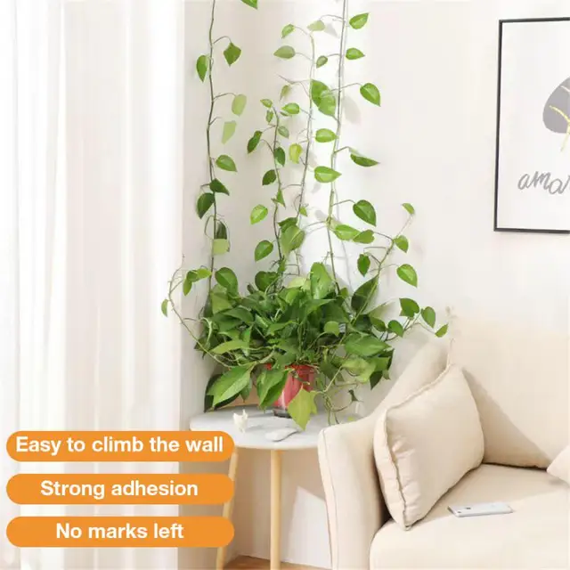 Ome Kerti Dekoráció A Falhorog Erős Bot Önálló Növényi Mászás Fali Hegymászó Tárgy Tartó 2023 Rögzítő Terv - Image 4