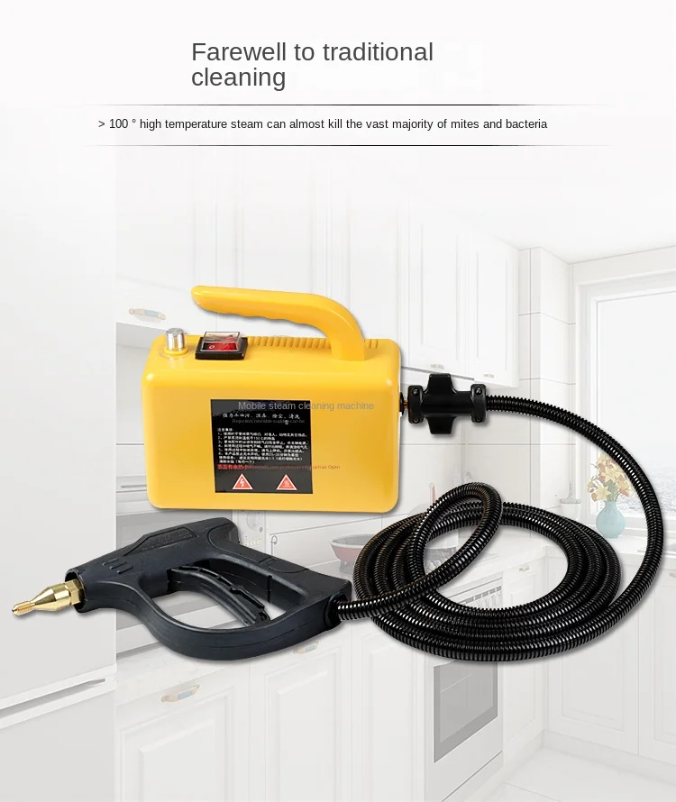 3000W 220V/110V Professional Steam Cleaner Handheld Steam Generator High Pressur