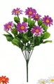 Purplered-1pc