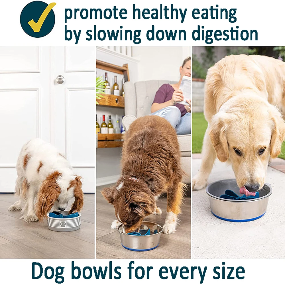 How Can I Slow Down My Dogs Drinking