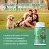 Superfood Greens - Boosts Energy, Immunity and Gut Health, Improves Digestion Supplement