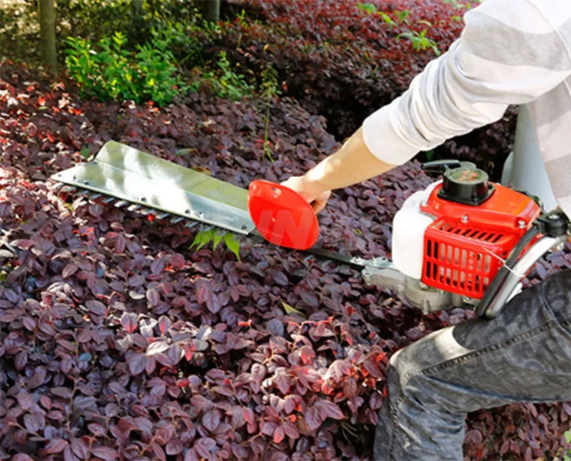 Hot Selling Petrol Power Single Blade Hedge Machine Petrol Hedge Trimmer New Trimmer