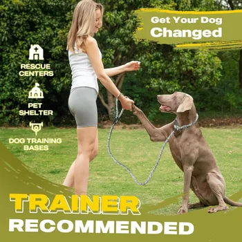 Heavy Duty Loop Leash No Pull 4