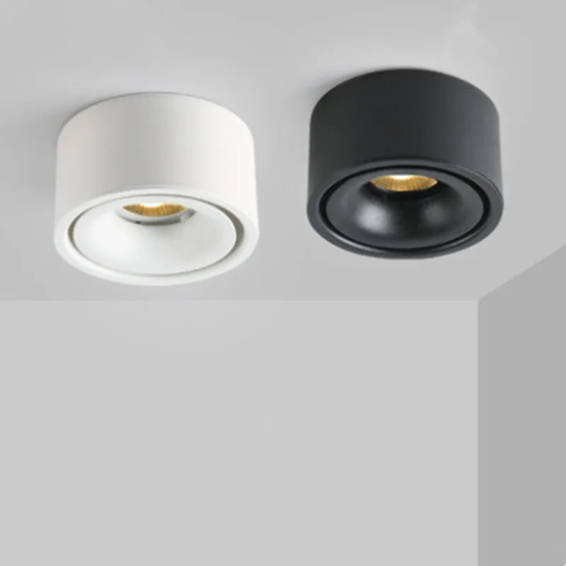 Рисунок 5 - Приглушаемые круглые светильники