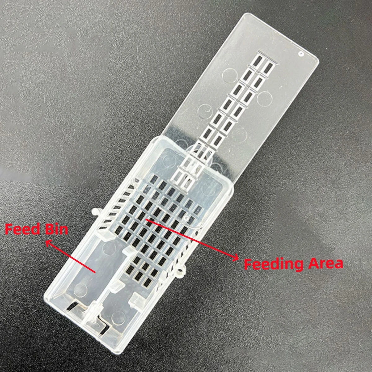10Pcs Transparent Queen Bee Cage Plastic Large Size Multifunctional Box Queen Bee Escape Prevention Frame Beekeeping Supplies