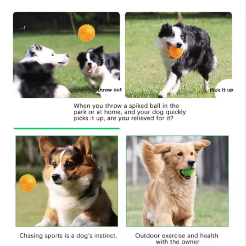 Sounding Chew Ball For Dogs And Cats Tooth Cleaning Training Toy_voghion.com