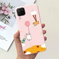 Case-c43