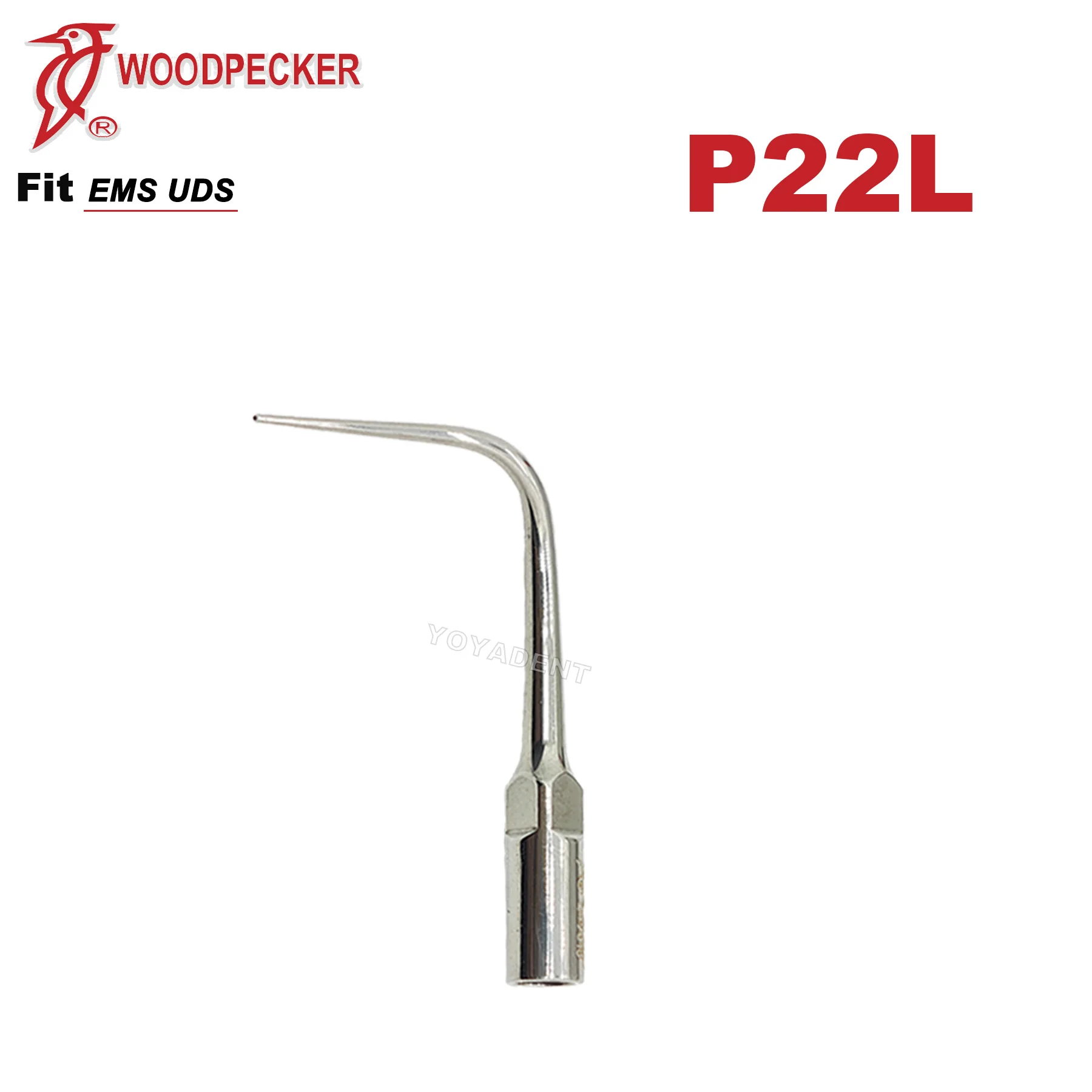 Specht Tipps Dental Ultraschall Scaler Tipps Fit EMS UDS Scaler Handstück Parodontologie Spitze Zahnmedizin Zubehör – Detail 9