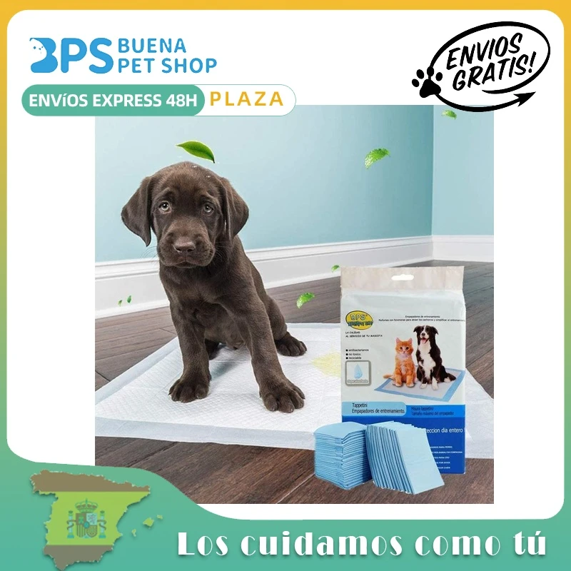 Are Dog Diapers Good For Training