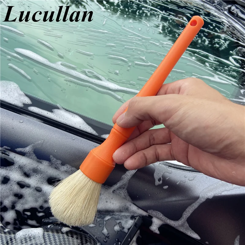 https://ae01.alicdn.com/kf/Sdae9e79ebe884406ae28b756fb5b692ec/Lucullan-20-More-WHITE-Natural-Boar-s-Hair-Premium-Cleaning-Brushes-For-Small-Spaces-Engine-Bays.jpg