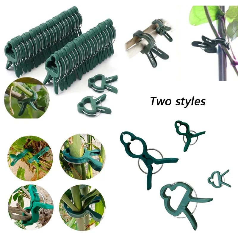 300 Clips De Soporte Para Plantas, Clips De Soporte Para Jardín, Clips De Jardín, Para Crecer En Posicion Vertical Hace Que Las Plantas Sean Mas Saludables
