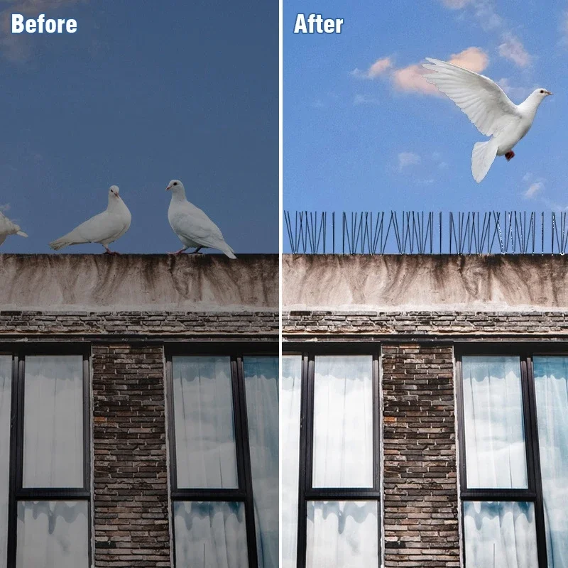 Plastic Bird And Pigeon Spikes Stainless Steel Bird Repeller Plastic Anti Cat Anti Pigeon Birds Repellent Spikes Pest Control - Image 4