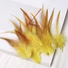 50/100pcs 8-15CM Wholesale feather diy cat toys, colorful pheasant feather handicrafts, accessories and decorative materials 3