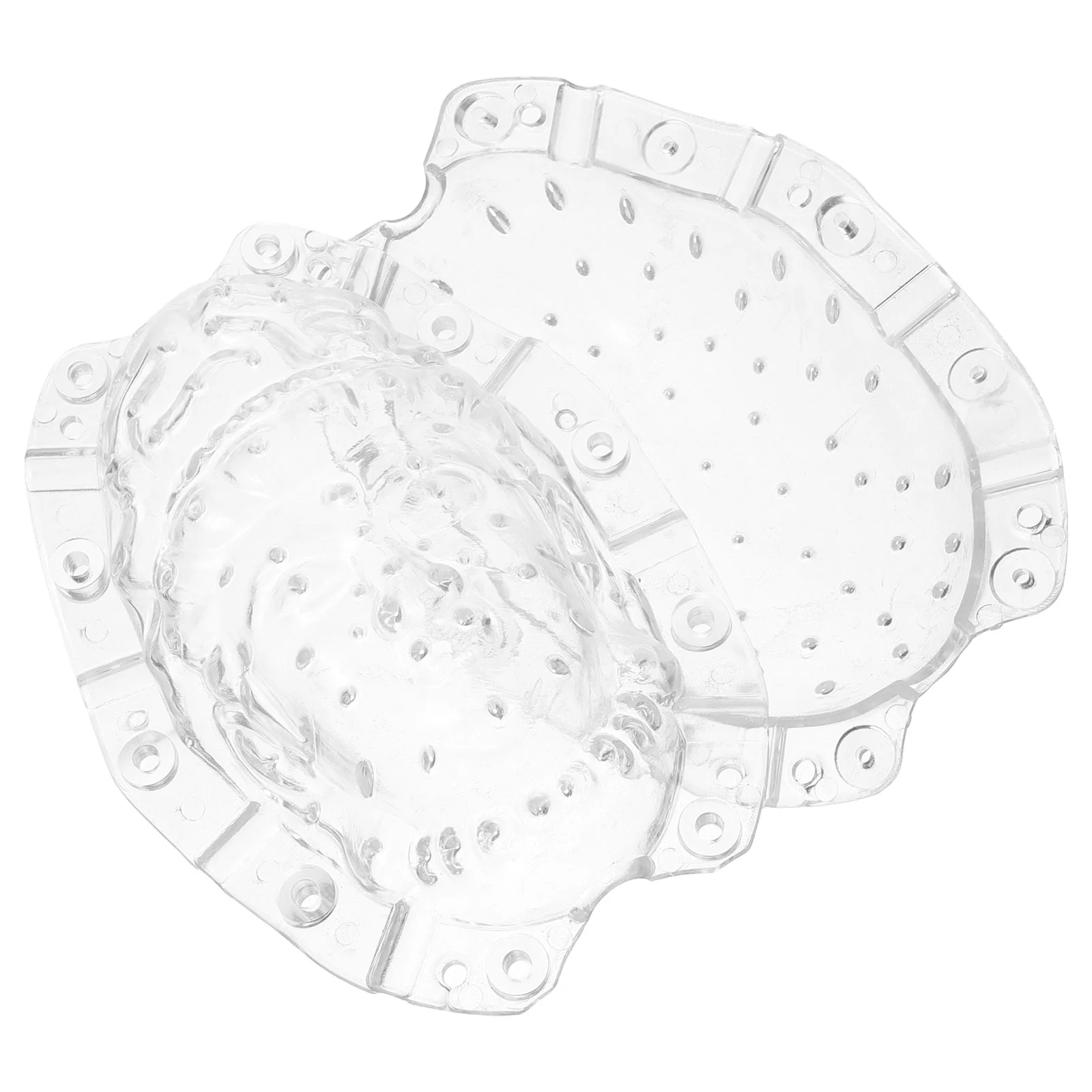 

Vegetable Growing Mold Small Multitool Melon Fruit Shaper Ginseng Acrylic Shaping Planting