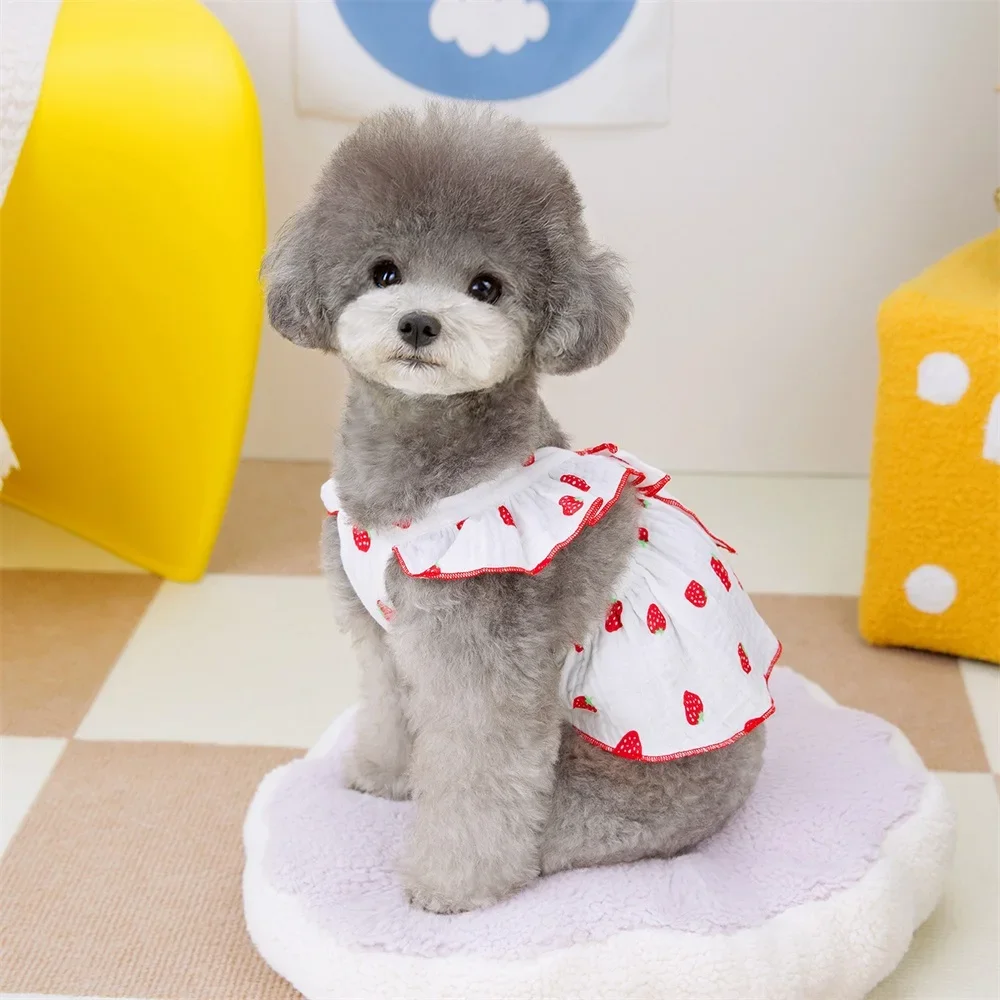 Strawberry Pattern Dog Summer Dress 3