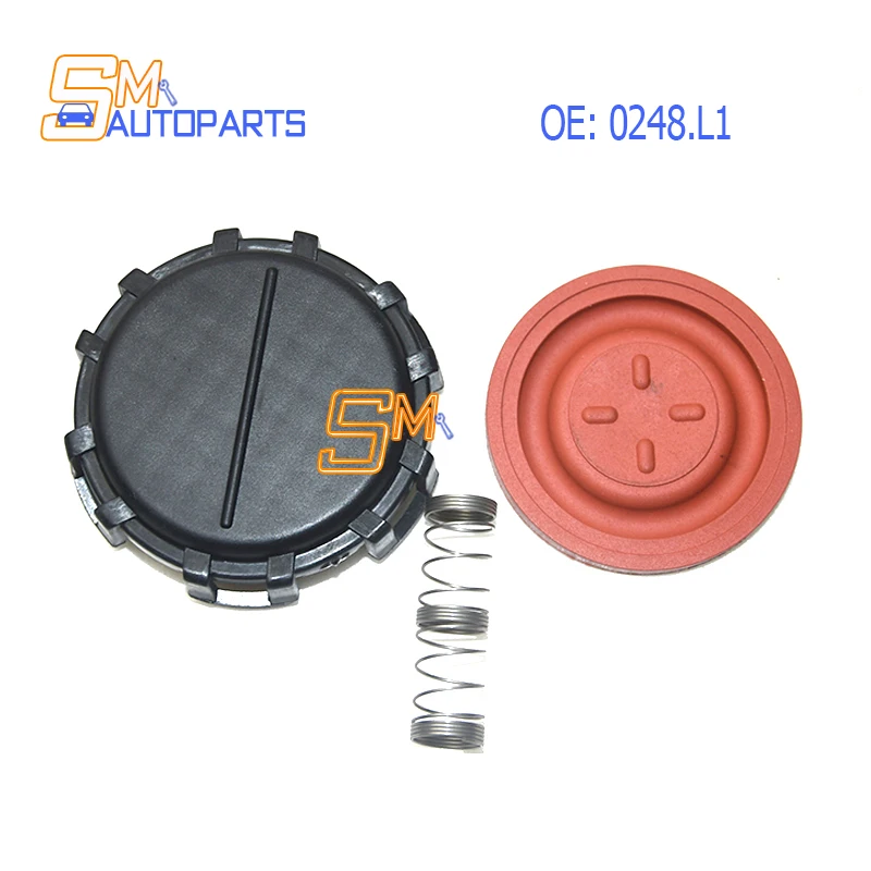 Nuovo Kit Di Riparazione Coperchio Valvola Motore 0248.L1 0248L1 965181568 Per Peugeot 206 307 308 407 Citroen 1.6 Hdi Berlingo Xsara