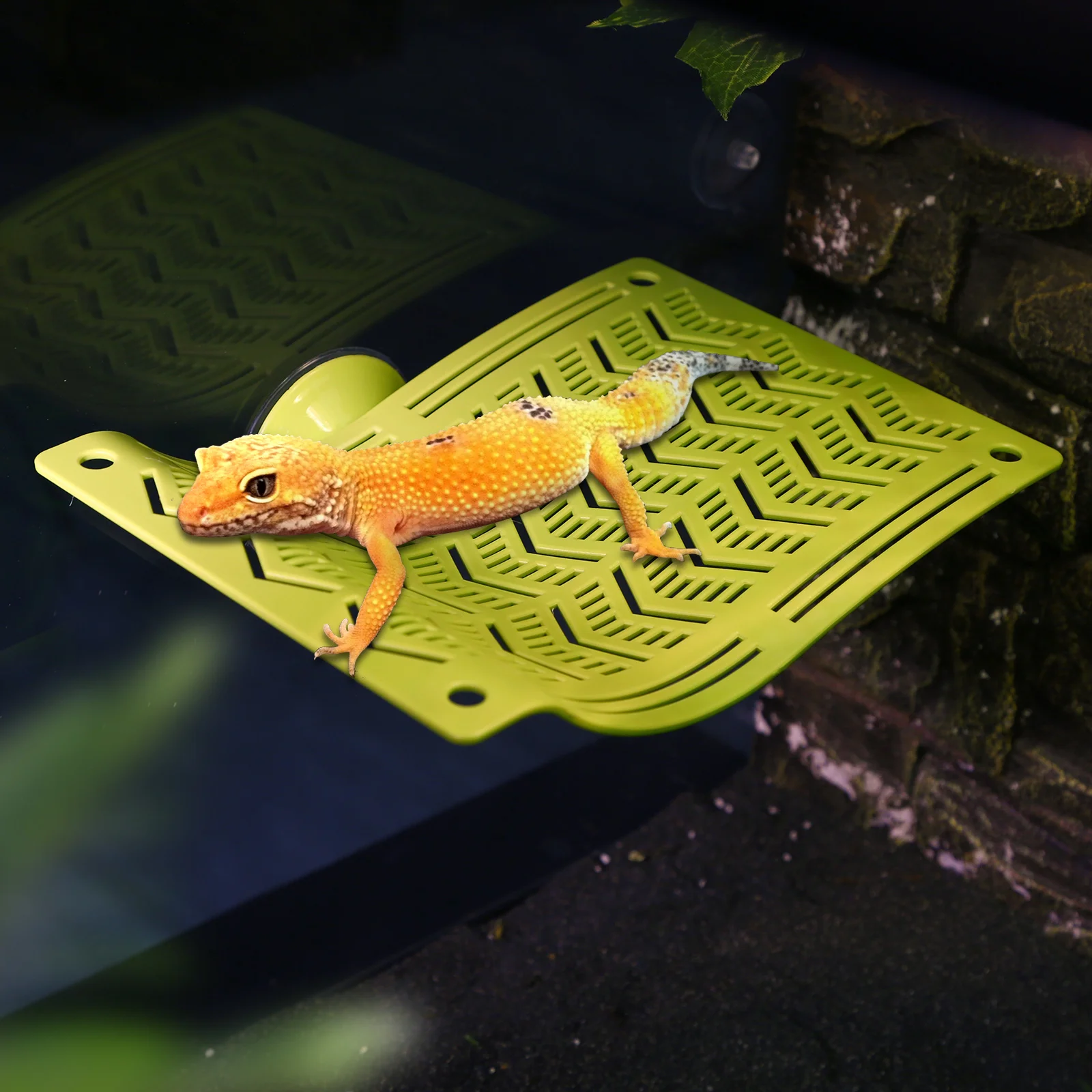 Reptile Hammock Swing Perch 5