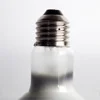 100W Solar Heating Lamp UVB Turtle Lizard Reptile Ultraviolet Light Bulb Amphibian Reptile Terrace Accessories Heating Supplies 3