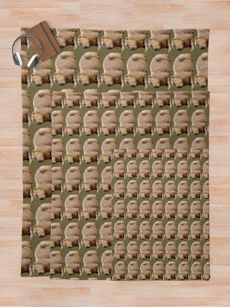 Capybara Throw ���, ����� �ε巯�� ķ�� ���º�