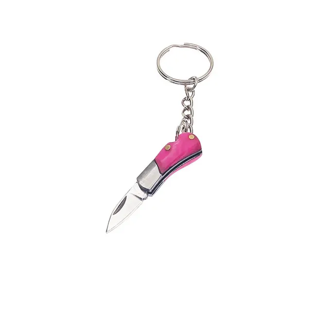Swayboo Hot Sell Acrylic Handle Stainless Steel Mini Portable Carry  Keychian Folding Pocket Knife EDC Tool - AliExpress