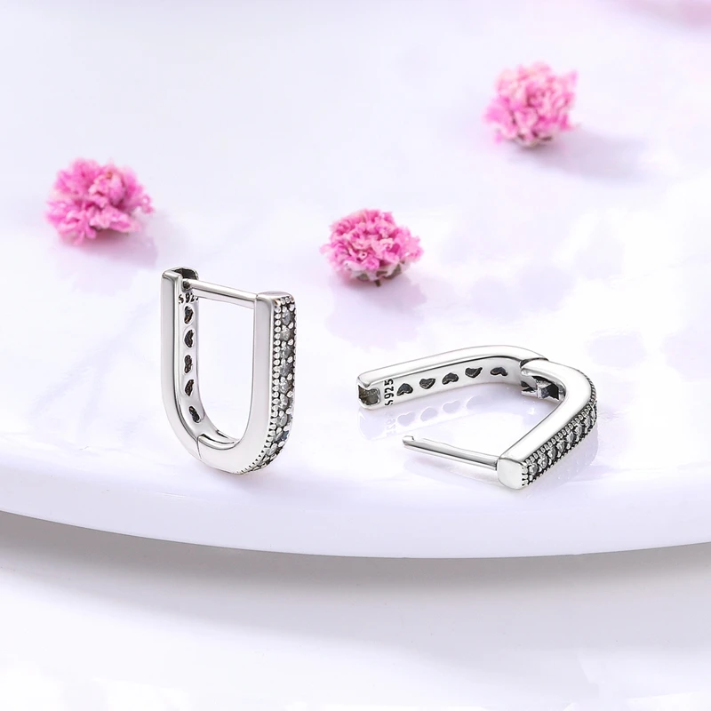 2022 Charm Double Hoop Earrings 925 Silver Sparkling Pave Stud Earring Gift For Women Engagement Jewelry Anniversary